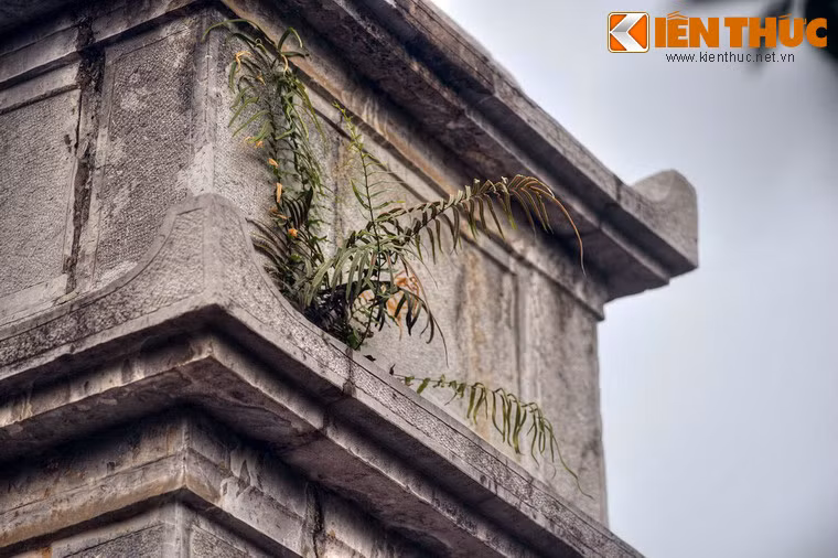 Dù có một lịch sử rất đặc biệt, nhưng ngày nay không nhiều người biết đến tháp Cửu Sinh, có lẽ do tòa tháp nằm ở một vị trí khá khuất, lại bị danh tiếng của tháp Diệu Quang (tòa tháp cổ cao nhất Hà Nội, nằm ở trước sân chùa Liên Phái) che khuất…