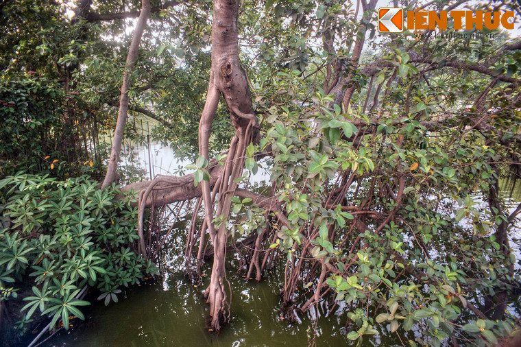 Một số hình ảnh khác.