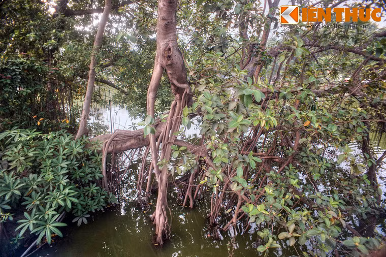 Một số hình ảnh khác.