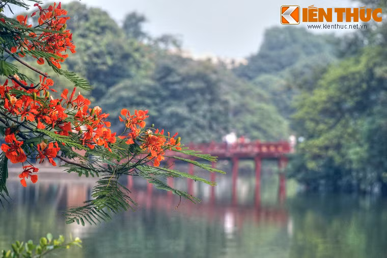 Trong một thời gian dài, người dân và du khách được tự do lên cầu Thê Húc hóng gió, ngoạn cảnh hồ Gươm. Đến gần đây thì khách muốn lên cầu vào đền sẽ phải mua vé. Giá vé vào cửa hiện tại là 30.000 đồng…