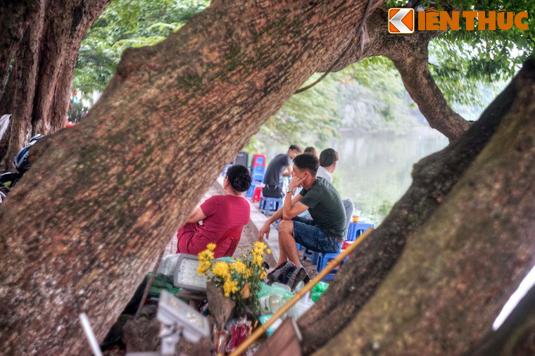 Rất nhiều người Hà Nội đã có kỷ niệm đẹp với cây lộc vừng 9 gốc. Những kỷ niệm đó sẽ không bao giờ mất đi, cũng như hình ảnh cây lộc vừng thân thương đã trở thành một phần ký ức lịch sử trường tồn cùng Hà Nội theo dòng thời gian.