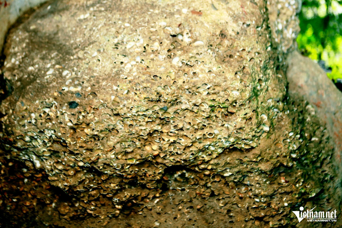 Bi an 3 ngoi mo trong hang da o Ninh Binh, thi hai nam co-Hinh-4