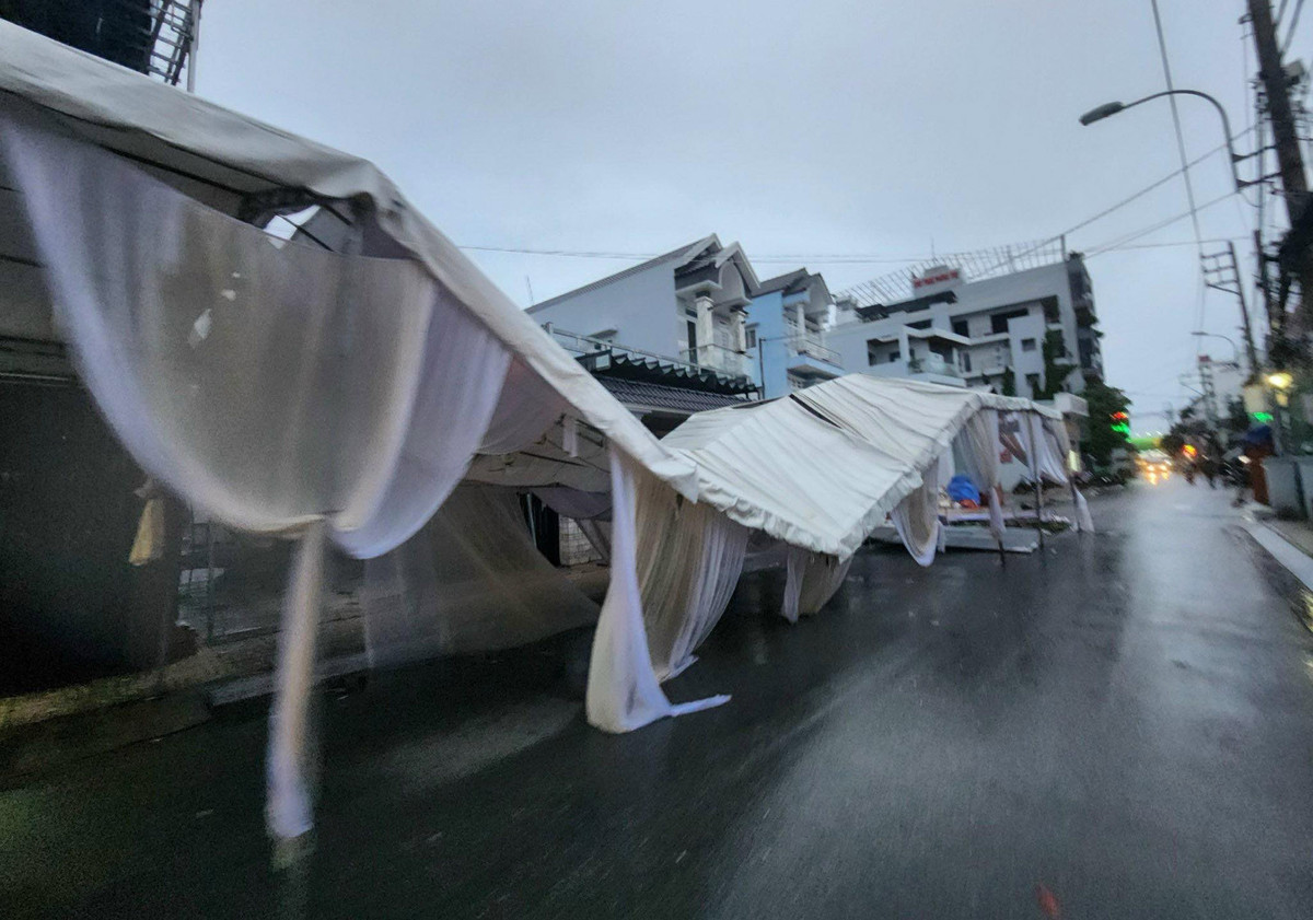 Rap cuoi bi xo do, canh cay gay de trung o to trong giong loc o TPHCM-Hinh-2