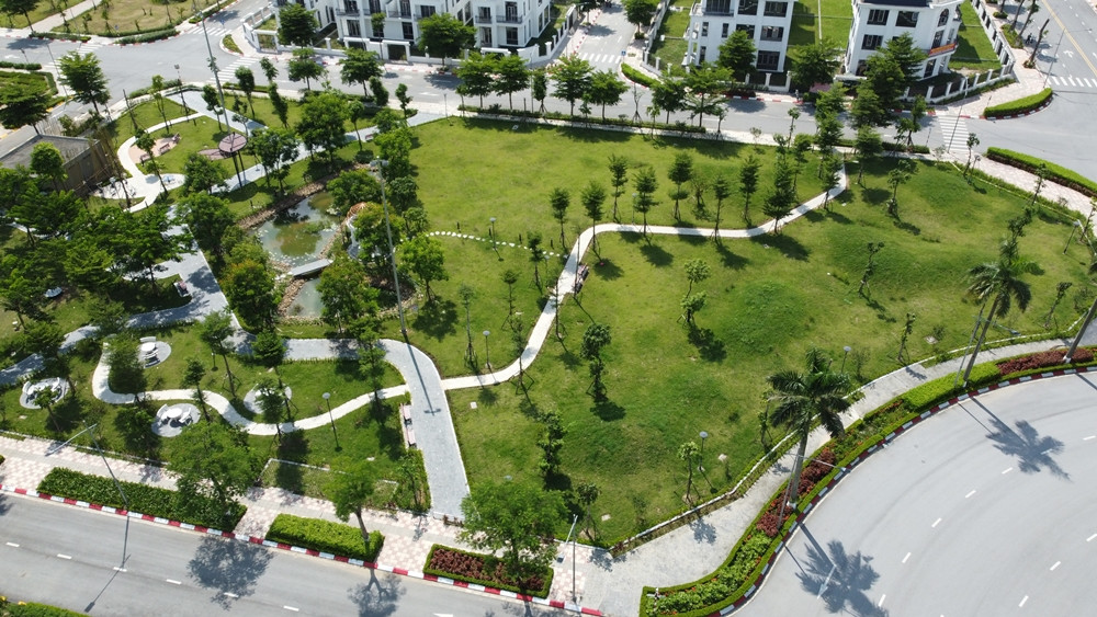 Kết luận Thanh tra Sở Xây dựng Hà Nội còn chỉ ra, còn một số loại cây xanh được trồng có đường kính chưa phù hợp, một số cây bị chết.