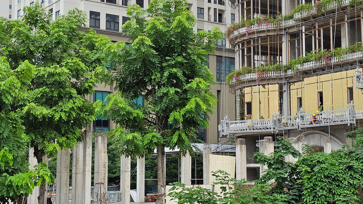 Theo giới thiệu, QMS Top Tower có tổng cộng 490 căn hộ cao cấp, được phân bố trên 35 tầng từ tầng 7 đến tầng 36. Diện tích các căn hộ đa dạng từ 60 m2 đến 100 m2, bao gồm các loại căn hộ 2 phòng ngủ và 3 phòng ngủ. (Ảnh: Tiền Phong).