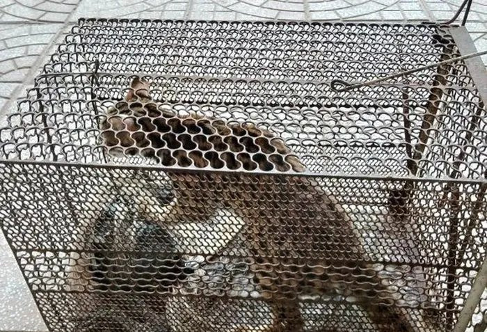 Quang Binh: Tiep nhan 2 ca the dong quy hiem, nguy cap