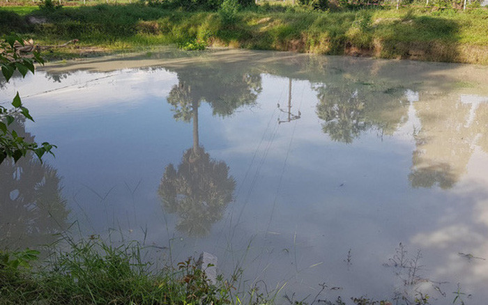  2 mẹ con đuối nước dưới ao: Sáng 24/6, người dân sinh sống tại xã Ngọc Sơn (huyện Quỳnh Lưu, Nghệ An) thấy chiếc xe máy của chị Nguyễn Thị Tình, SN 1994 (trú tại địa phương) để gần khu vực bờ ao từ chiều hôm qua nên nghi ngờ có chuyện. Ngay sau đó, bà con lại gần khu vực bờ ao của xóm thì bàng hoàng phát hiện thi thể chị Tình và đứa con trai 5 tuổi trong tư thế quấn chặt vào nhau ở dưới ao. Khu vực 2 mẹ con đuối nước cách nhà khoảng 1 km.