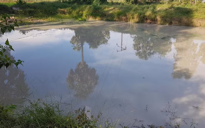  2 mẹ con đuối nước dưới ao: Sáng 24/6, người dân sinh sống tại xã Ngọc Sơn (huyện Quỳnh Lưu, Nghệ An) thấy chiếc xe máy của chị Nguyễn Thị Tình, SN 1994 (trú tại địa phương) để gần khu vực bờ ao từ chiều hôm qua nên nghi ngờ có chuyện. Ngay sau đó, bà con lại gần khu vực bờ ao của xóm thì bàng hoàng phát hiện thi thể chị Tình và đứa con trai 5 tuổi trong tư thế quấn chặt vào nhau ở dưới ao. Khu vực 2 mẹ con đuối nước cách nhà khoảng 1 km.