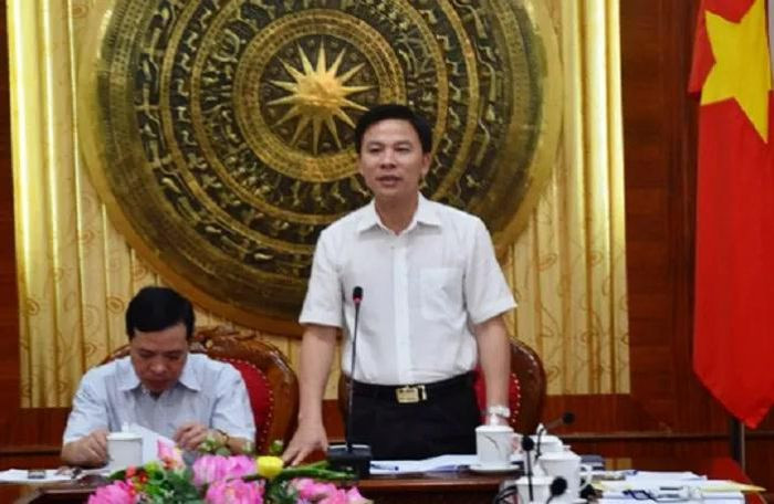 Tháng 5/2009 - 8/2010: Tỉnh ủy viên, Bí thư Huyện ủy huyện Nông Cống, tỉnh Thanh Hóa. Tháng 8/2010 - 10/2010: Tỉnh ủy viên, Phó Trưởng ban Thường trực Ban Tuyên giáo Tỉnh ủy Thanh Hóa. Tháng 11/2010 - 5/2015: Ủy viên Ban Thường vụ Tỉnh ủy, Trưởng Ban Tuyên giáo Tỉnh ủy, Trưởng Ban Văn hóa - Xã hội HĐND tỉnh Thanh Hóa khóa XVI. 