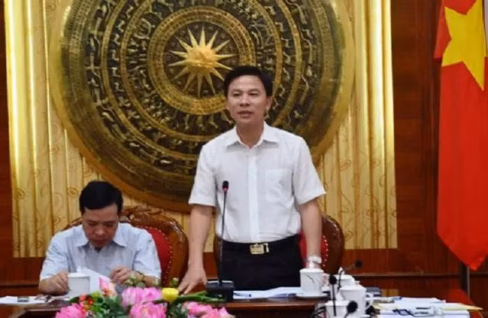 Tháng 5/2009 - 8/2010: Tỉnh ủy viên, Bí thư Huyện ủy huyện Nông Cống, tỉnh Thanh Hóa. Tháng 8/2010 - 10/2010: Tỉnh ủy viên, Phó Trưởng ban Thường trực Ban Tuyên giáo Tỉnh ủy Thanh Hóa. Tháng 11/2010 - 5/2015: Ủy viên Ban Thường vụ Tỉnh ủy, Trưởng Ban Tuyên giáo Tỉnh ủy, Trưởng Ban Văn hóa - Xã hội HĐND tỉnh Thanh Hóa khóa XVI. 