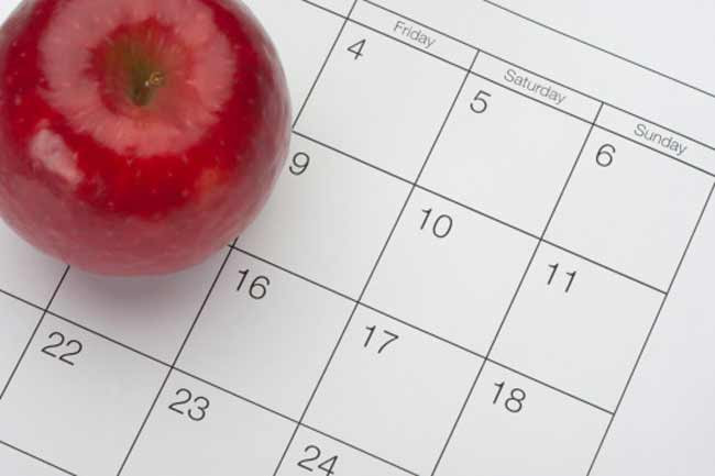 Ăn kiêng 2 ngày: Có những người không thể duy trì một chế độ ăn kiêng lâu dài. Đối với những người này, cách tốt nhất là chỉ ăn kiêng 2 ngày trong tuần. Việc này sẽ giúp giảm 650 calo mỗi ngày và khiến cơ thể trở nên cân đối.