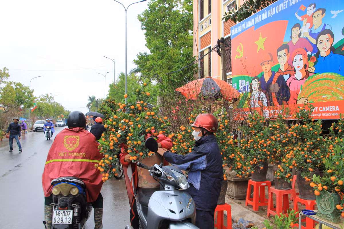 Không khí Tết tại chợ hoa Hải Hậu.