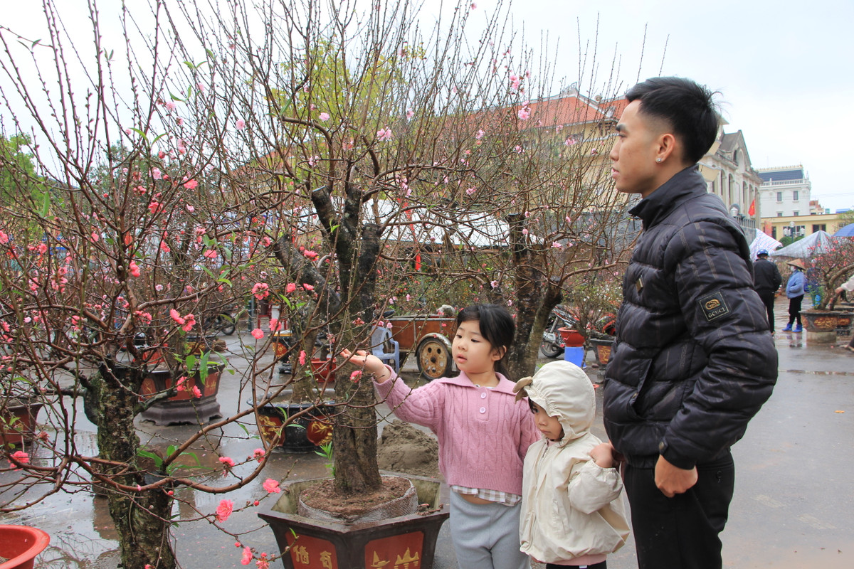 Khi mưa tạnh, nhiều trẻ nhỏ vẫn được các phụ huynh dẫn đi ngắm hoa đào, quất Tết.