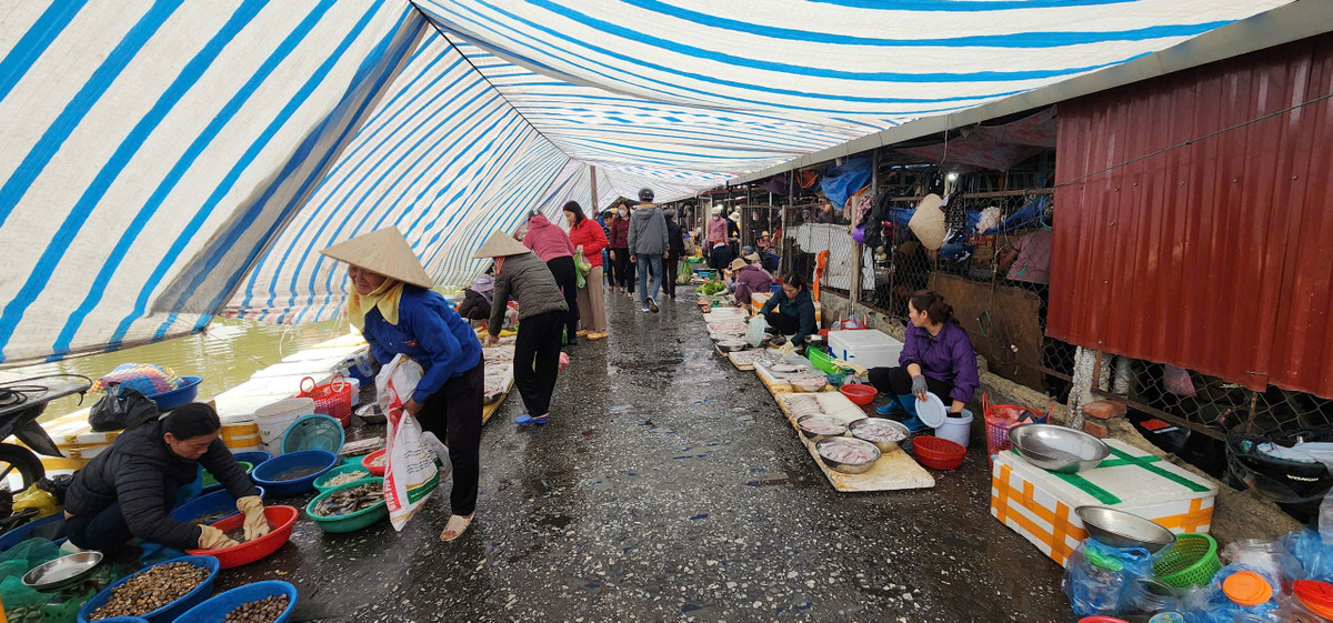 Khu chợ hải sản cũng náo nhiệt khi Hải Hậu là vùng biển luôn có hải sản tươi sống hàng ngày.