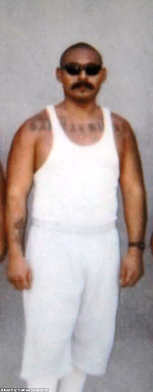 Cuoc song ben trong bang dang tan bao nhat the gioi-Hinh-4