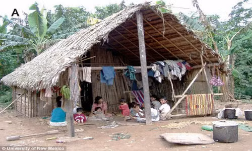 Bo lac Amazon co dong mach khoe nhat the gioi