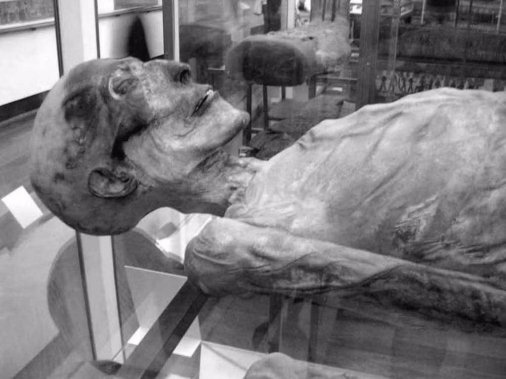 Nhiều xác ướp của các pharaoh hay những người thuộc tầng lớp giàu có được chôn cất cùng một số người hầu để họ sang thế giới bên kia tiếp tục công việc hầu hạ chủ nhân. Những người hầu này thường bị chôn sống hoặc giết chết trước khi đem đi mai táng cùng người chủ quá cố.