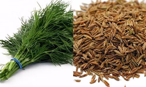 Kinh nghiem dan gian chua ngo doc thuc an