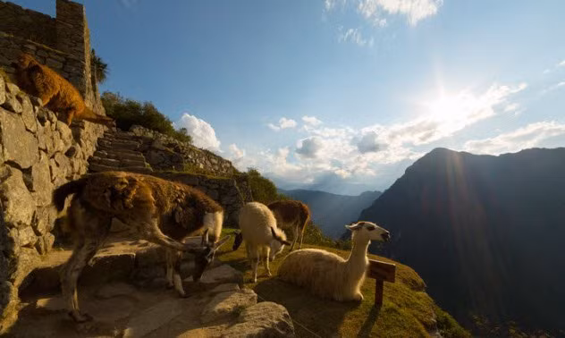 Trẻ em người Inca, đặc biệt là những bé gái dưới 9 tuổi được dạy cách quay sợi. Thậm chí, nhiều bé gái bắt đầu làm công việc nhà từ khi lên 5 tuổi.