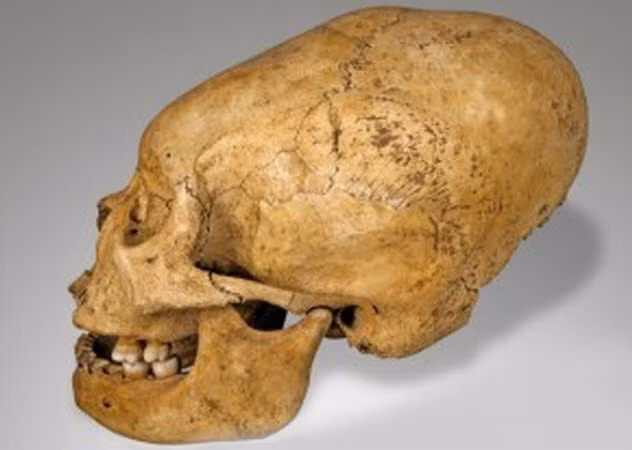 Dưới thời đế chế Inca, những bậc cha mẹ sẽ dùng vải quấn quanh đầu con từ khi còn nhỏ. Điều này sẽ khiến hộp sọ của đứa trẻ bị biến dạng, trở nên dài hơn. Người Inca làm như vậy vì tin rằng, đứa trẻ có đầu càng cao thì càng thông mình và gần gũi với các vị thần hơn.