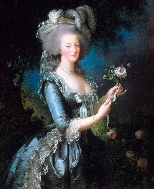 Bà hoàng Marie Antoinette là con gái út trong số 16 người con của Hoàng đế Francis I của Đế quốc La Mã Thần Thánh với Hoàng hậu Maria Theresia của Áo. Do quan hệ giữa Pháp và Áo luôn trong tình trạng có thể xảy ra chiến tranh do cả hai muốn giành quyền thống trị châu Âu nên Hoàng hậu Maria Theresia cho Marie Antoinette kết hôn với cháu trai của Vua Pháp Loius XV khi mới 15 tuổi. Sau khi vua Loius XV băng hà, chồng Marie Antoinette trở thành vua Louis XVI vào năm 1774. Marie Antoinette chính thức lên ngôi Hoàng hậu Pháp khi chưa đầy 20 tuổi.