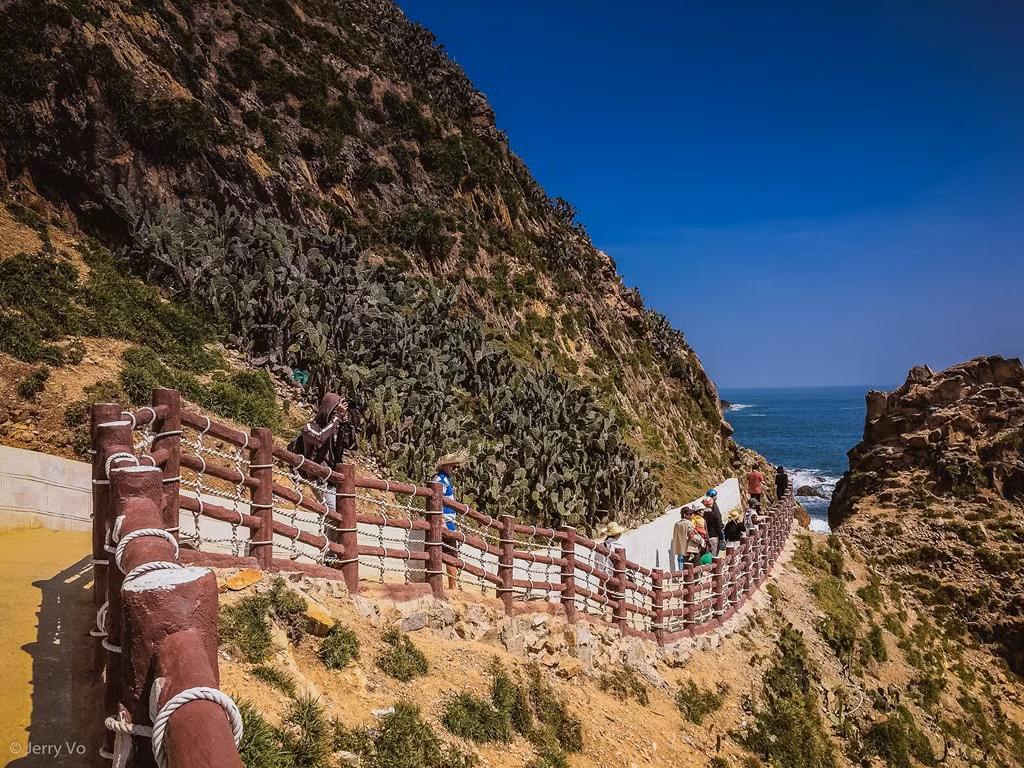 Đến với Eo Gió, bạn không chỉ có những bức ảnh check-in tuyệt đẹp mà còn được hòa mình với không khí trong lành, tươi mát của thiên nhiên, ngắm nhìn những đàn cá tung tăng bơi lội hay những rặng san hô tuyệt đẹp.