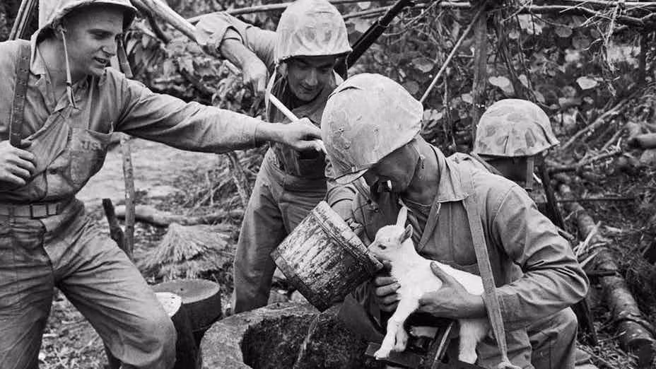 Hình ảnh hiếm thấy các binh sĩ cho một con vật nhỏ bé bị đói khát uống nước.