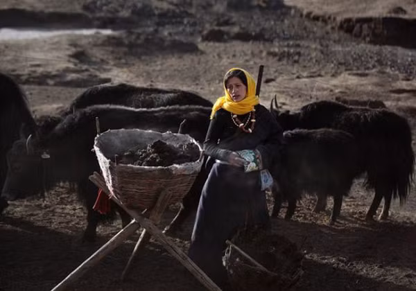 Cao nguyên này nằm ở độ cao hàng nghìn mét so với mực nước biển nên không khí tương đối loãng. Nhiệt độ có thể hạ tới - 30 độ C, khiến cây cối khó phát triển.