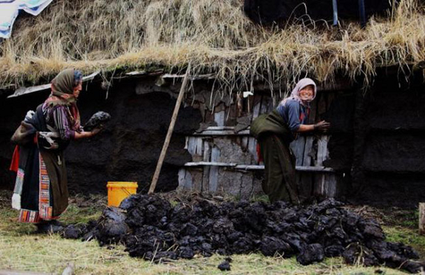 Do độ ẩm không khí thấp, phân bò để ngoài trời khô rất nhanh và thức ăn của bò chỉ có cỏ, nên chất thải sẽ giống như cỏ khô, dễ cháy.