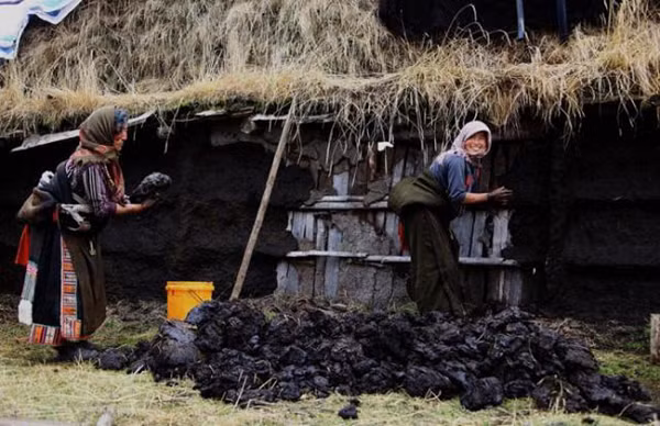 Do độ ẩm không khí thấp, phân bò để ngoài trời khô rất nhanh và thức ăn của bò chỉ có cỏ, nên chất thải sẽ giống như cỏ khô, dễ cháy.