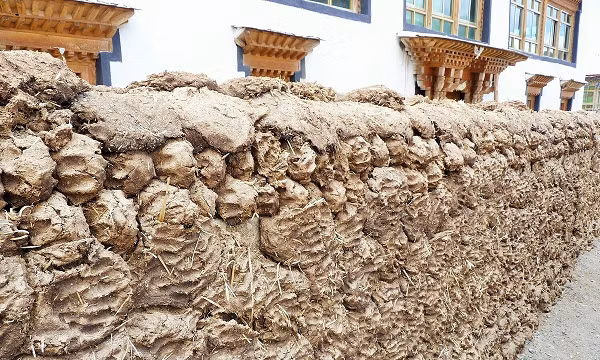 Người Tây Tạng rất nồng hậu và hiếu khách. Nếu có khách du lịch ghé thăm, họ sẽ dùng phân của loài bò yak để nấu ăn đãi khách.