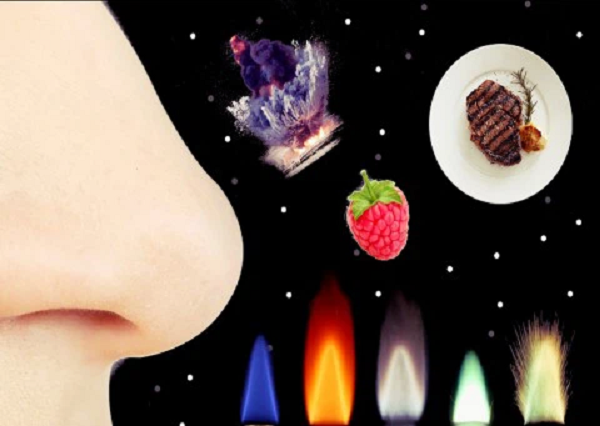 Họ không thể ngửi thấy nó khi đang thực hiện chuyến bay bởi vì thiết kế của bộ trang phục dành cho phi hành gia khiến họ chỉ thấy mùi như mùi nhựa.