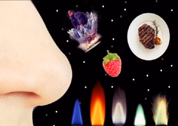 Họ không thể ngửi thấy nó khi đang thực hiện chuyến bay bởi vì thiết kế của bộ trang phục dành cho phi hành gia khiến họ chỉ thấy mùi như mùi nhựa.