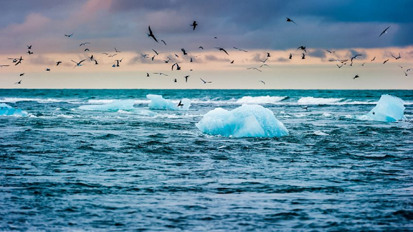 Các hải lưu ở Đại Tây Dương đóng vai trò quan trọng trong việc phân bố lại lượng nhiệt trong hệ thống khí hậu của Trái đất.