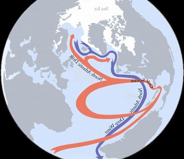 Các nhà khoa học cho rằng nguyên nhân một phần của tình trạng này có liên quan trực tiếp đến hiện tượng ấm lên toàn cầu. Vì băng tan dẫn đến sự mất cân bằng ở vùng biển phía bắc.