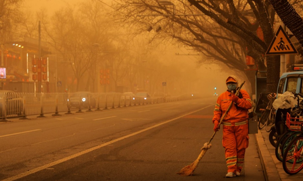 Phá rừng quy mô lớn cũng là một yếu tố gây ra các trận bão bụi ở Trung Quốc. Bắc Kinh phải tạo một “bức tường xanh khổng lồ” bằng việc trồng cây xanh để ngăn bụi bay vào thành phố.