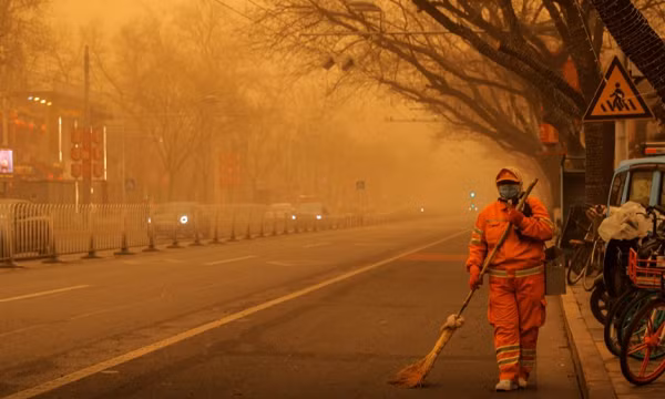Phá rừng quy mô lớn cũng là một yếu tố gây ra các trận bão bụi ở Trung Quốc. Bắc Kinh phải tạo một “bức tường xanh khổng lồ” bằng việc trồng cây xanh để ngăn bụi bay vào thành phố.