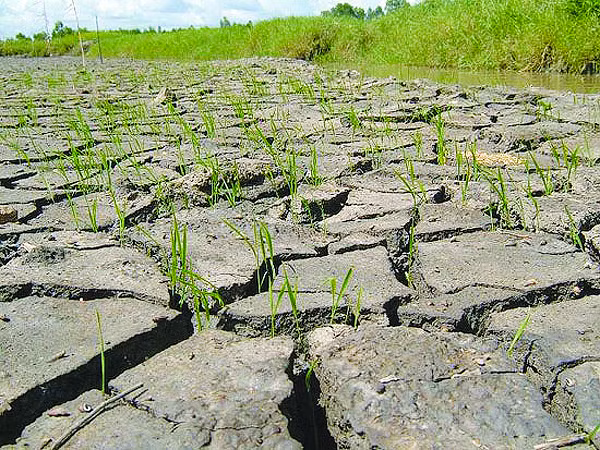 Do đó, Bắc bán cầu sẽ trải qua hơn nửa năm trong mùa hè và nhiệt độ trung bình vào mùa hè dự kiến sẽ tăng lên.