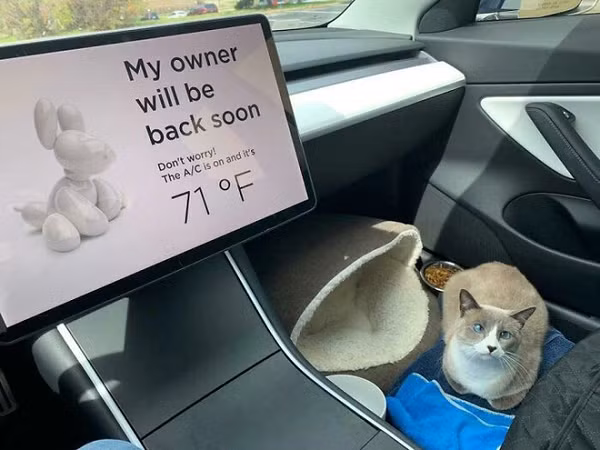Màn hình thông báo cho người qua đường biết rằng thú nuôi trong xe vẫn ổn, không cần giải cứu bằng cách... đập vỡ cửa kính để ôm chúng ra như xe hơi thường ở xe điện Tesla.