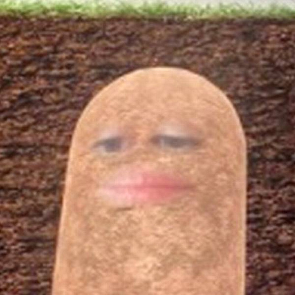 Vì thế, khi họp trực tuyến với cấp dưới sáng 30-3, cô không còn cách nào khác phải xuất hiện trước toàn thể cấp dưới trong hình hài một củ khoai tây. Rồi cô Ocampo đã phải giữ nguyên hình ảnh củ khoai tây suốt cuộc họp, mặc cho cấp dưới cười chọc vì không thoát ra được.