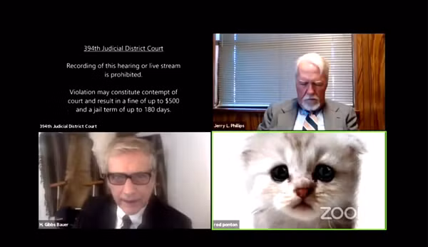 Điều đó khiến cho gương mặt của ông biến thành một chú mèo khi xuất hiện trên màn hình cuộc họp. Điều đáng nói là Ponton không biết làm cách nào để tắt đi bộ lọc hiệu ứng này, khiến cả phiên tòa được diễn ra với sự góp mặt của… một chú mèo.