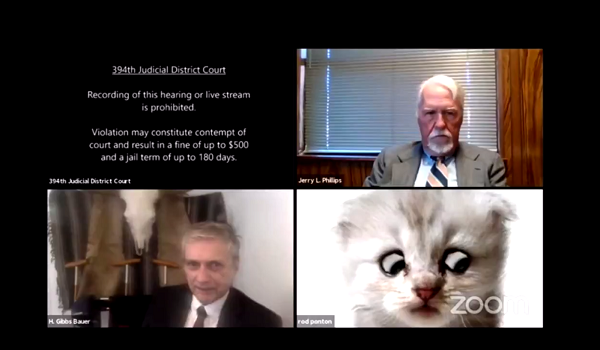 Sự cố hài hước và hy hữu này xảy ra trong một phiên tòa trực tuyến, tại Tòa án Địa hạt 394 (bang Texas, Mỹ), được diễn ra trên phần mềm Zoom. Khi luật sư Rod Ponton tham gia vào phiên tòa, không rõ vì lý do gì mà phần mềm Zoom trên máy tính của ông đã bật sẵn bộ lọc hiệu ứng mèo con.