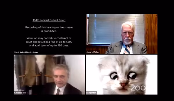 Sự cố hài hước và hy hữu này xảy ra trong một phiên tòa trực tuyến, tại Tòa án Địa hạt 394 (bang Texas, Mỹ), được diễn ra trên phần mềm Zoom. Khi luật sư Rod Ponton tham gia vào phiên tòa, không rõ vì lý do gì mà phần mềm Zoom trên máy tính của ông đã bật sẵn bộ lọc hiệu ứng mèo con.
