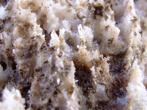 Trải qua suốt hàng ngàn năm với nhiều biến động từ tự nhiên khiến diện mạo của nơi này dần được hình thành như ngày nay, qua đó tạo nên "tác phẩm điêu khắc" tuyệt vời của thiên nhiên.