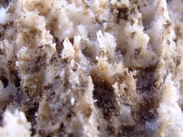 Trải qua suốt hàng ngàn năm với nhiều biến động từ tự nhiên khiến diện mạo của nơi này dần được hình thành như ngày nay, qua đó tạo nên "tác phẩm điêu khắc" tuyệt vời của thiên nhiên.