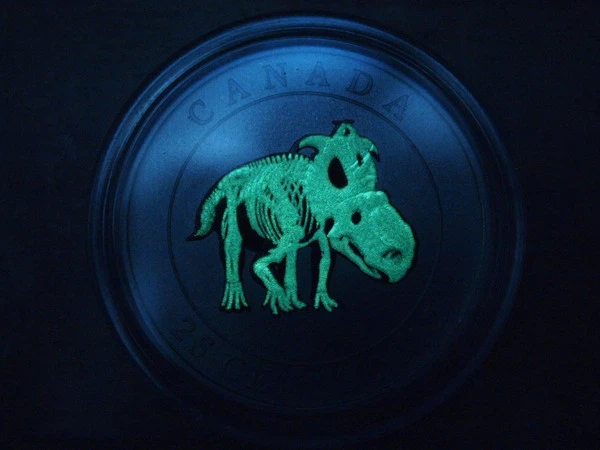 Nhưng điều đặc biệt của loại xu này không dừng ở đó. Trong bóng tối, mặt có hình khủng long sẽ có thể phát sáng, và đặc biệt, chỉ hình bộ xương của chúng có thể sáng lên trong màn đêm.