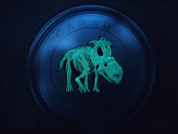 Nhưng điều đặc biệt của loại xu này không dừng ở đó. Trong bóng tối, mặt có hình khủng long sẽ có thể phát sáng, và đặc biệt, chỉ hình bộ xương của chúng có thể sáng lên trong màn đêm.