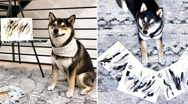 "Từ bé, Hunter đã thể hiện bản thân có nhiều năng lượng. Tôi thường đưa nó đi chơi công viên nhưng tôi nhận thấy việc đó không gây nhiều hứng thú cho nó", Denise Lo chia sẻ.