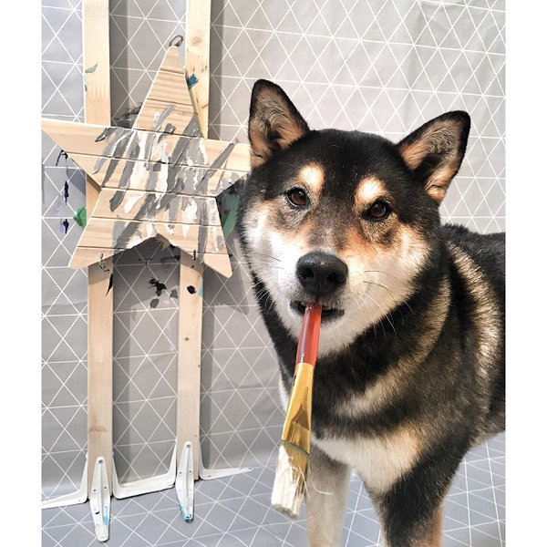 Sau khi hoàn thành bức tranh, chú chó Hunter đứng bên cạnh tạo dáng chụp ảnh cùng tác phẩm của mình. Hầu hết số tiền thu được từ việc bán tranh đều phục vụ cuộc sống của Hunter và một phần quyên góp cho quỹ của Hiệp hội cứu hộ động vật SCARS và một trung tâm giải cứu chó ở Hàn Quốc.