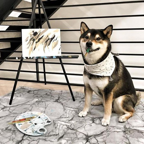 Bức tranh do Hunter vẽ bắt đầu từ một vài nét trên tấm vải căng ra trên chiếc khung gỗ. Người chủ luôn có những phần thưởng nhỏ cho Hunter để khuyến khích động viên mỗi khi nó có nét vẽ mới, thú vị, sáng tạo.